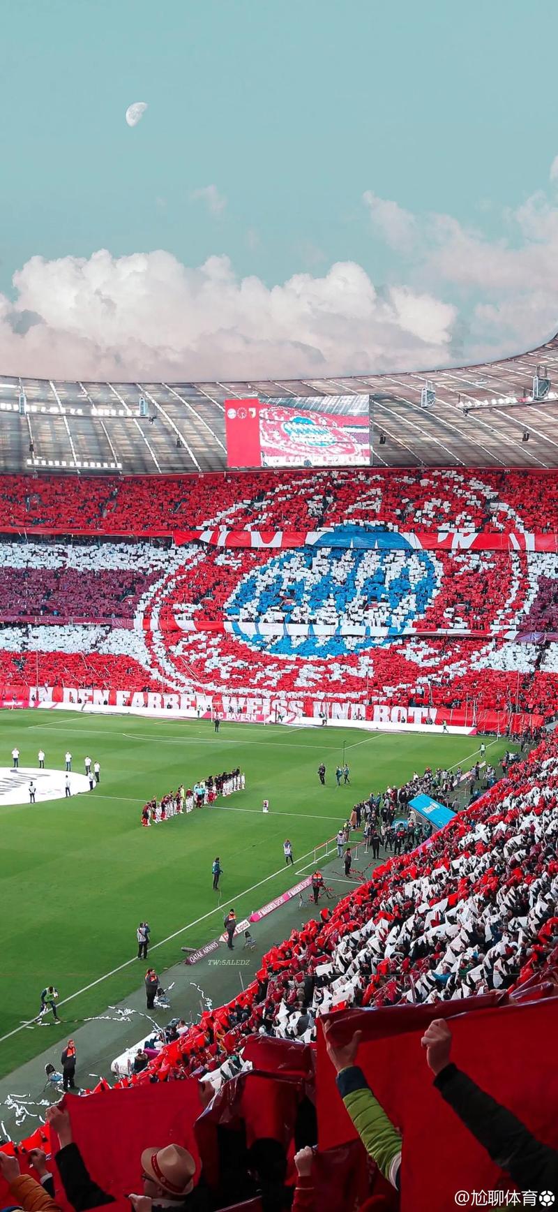 樊振东也没想到，香港火灾刚过一周，全红婵因一举动实现口碑暴涨（距香港火灾仅一周，全红婵一个举动口碑飙升，连樊振东都没料到）